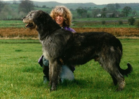 Jessica's sire